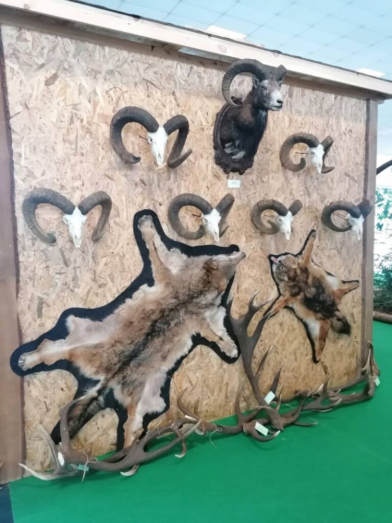 Природа и лов